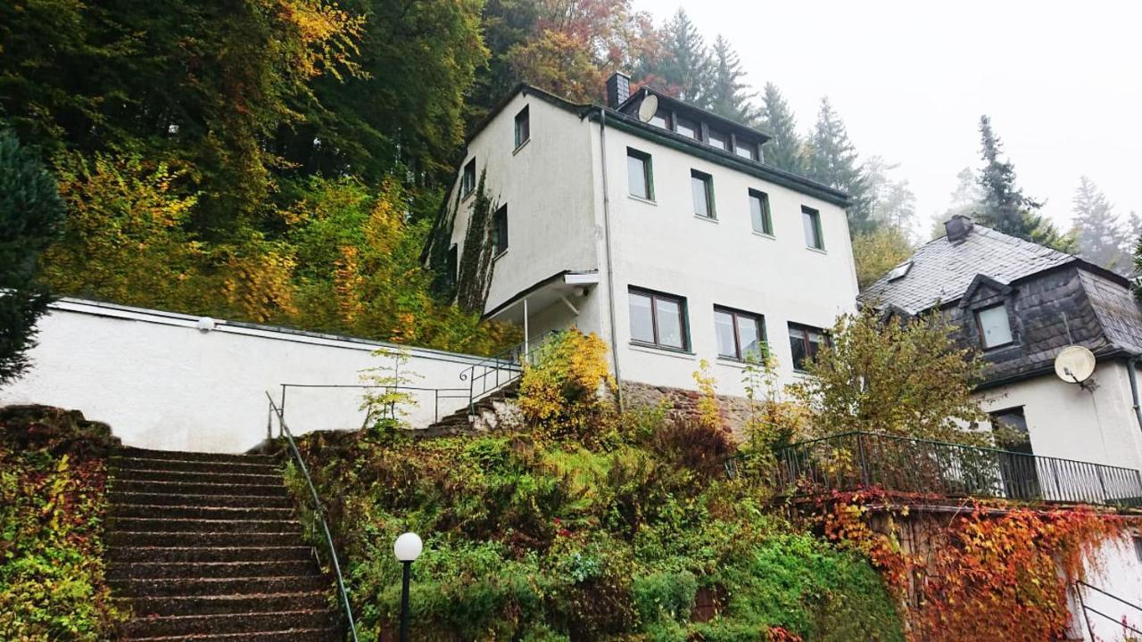 Ferienwohnung Haus Schoeneck Schönecken Dış mekan fotoğraf