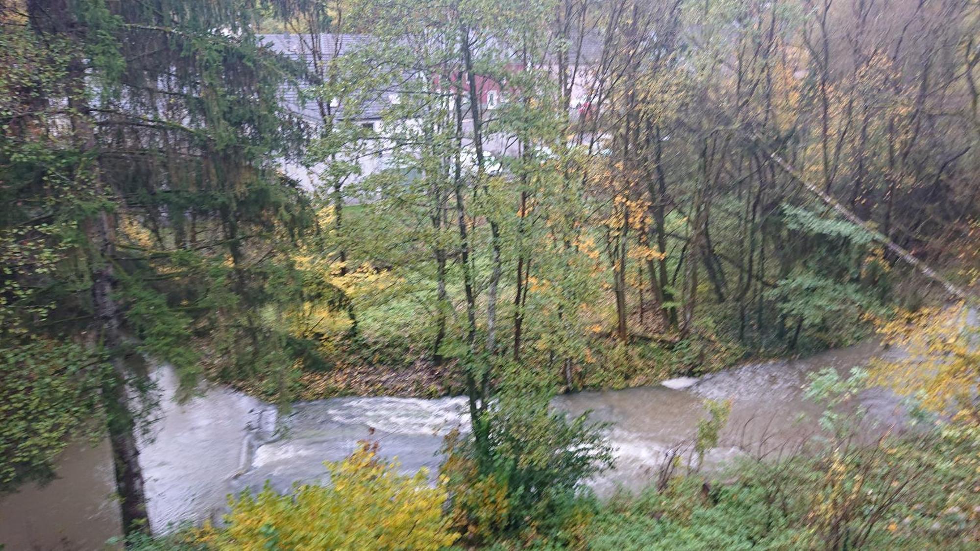 Ferienwohnung Haus Schoeneck Schönecken Dış mekan fotoğraf